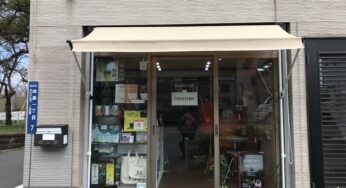 隅田公園リニューアルオープンしました！